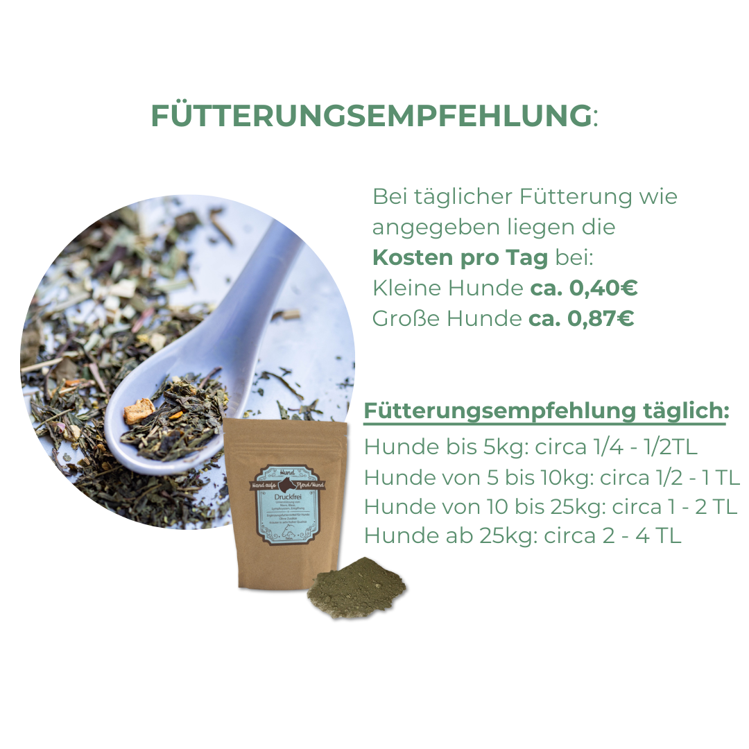 Einfache Anwendung der Nierenkräuter für Hunde – Kräutermischung wird über das tägliche Futter gestreut