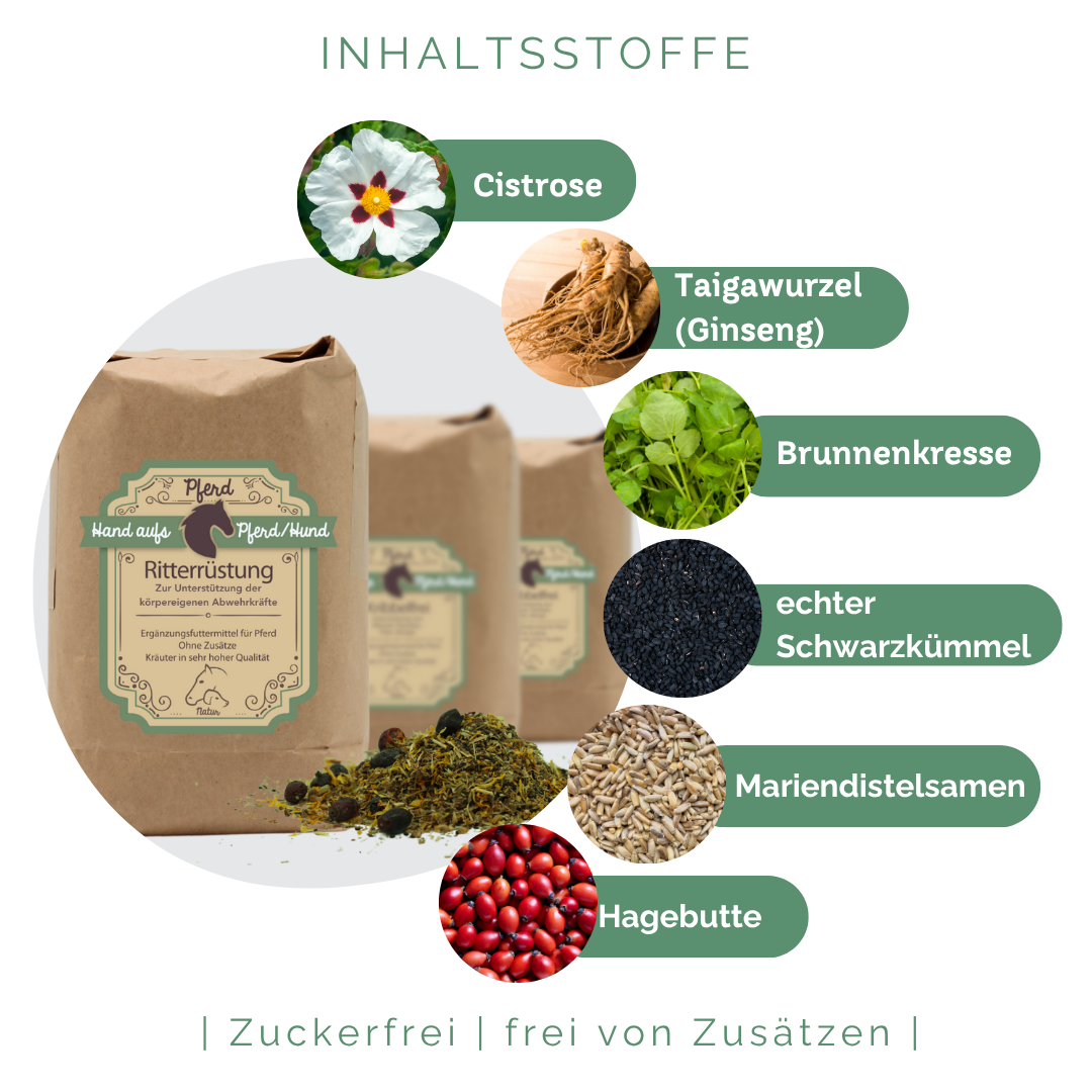 Immunsystem Pferd Hausmittel stärken