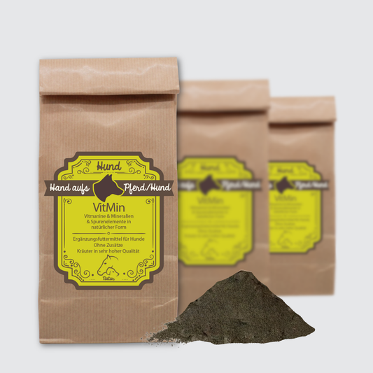 Verpackung von Mineralien für Hunde, unterstützt die Vitalität und das Immunsystem