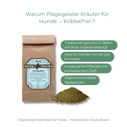 Plagegeister Kräuter für Hunde – Nährstoffvielfalt bei äußeren Belastungen durch Insekten