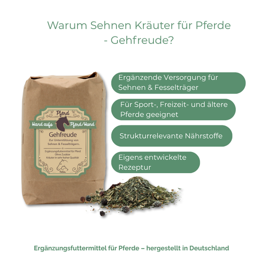 Kräuter Ergänzung bei der Versorgung von Sehnen und Fesselträger