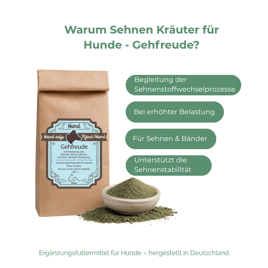 Sehnen Hausmittel Hund