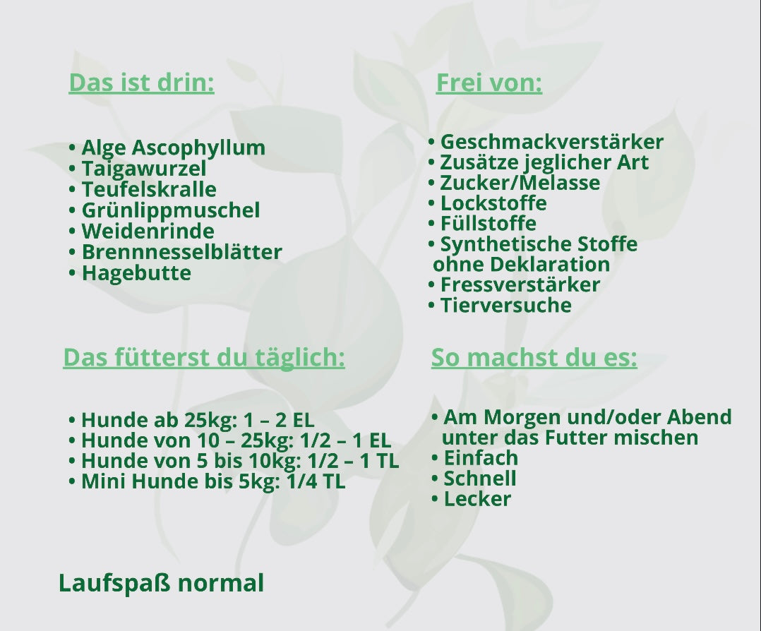 Arthrose beim Hund Kräuter