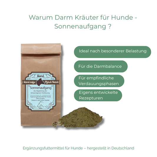 Natürliche Unterstützung für die körpereigenen Darmfunktion