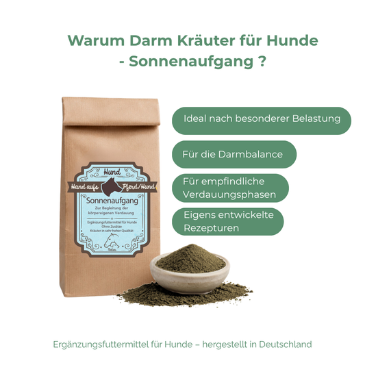 schleimiger kot hund