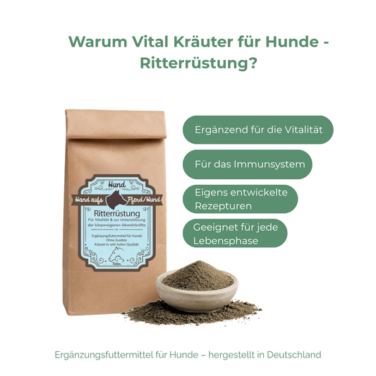 Immunsystem Hund natürlich stärken