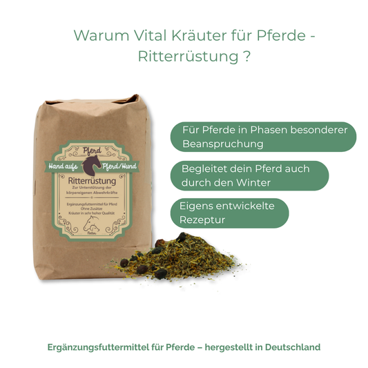 Immunsystem Pferd natürlich stärken