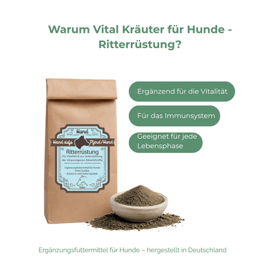 Vital Kräuter für Hunde - Ritterrüstung