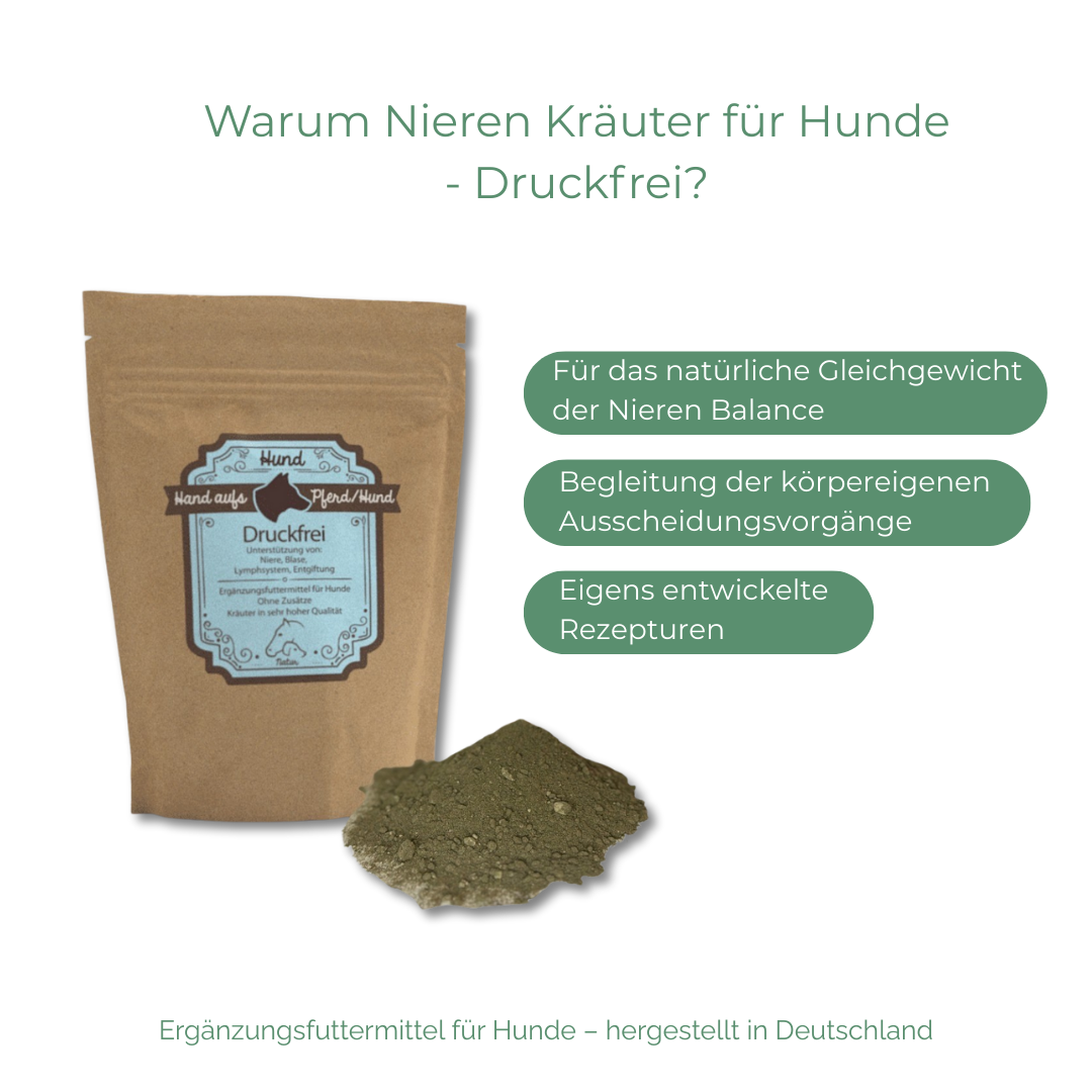 Natürliche Nierenkräuter für Hunde – Ergänzungsfuttermittel zur Unterstützung von Nieren und Harnwegen