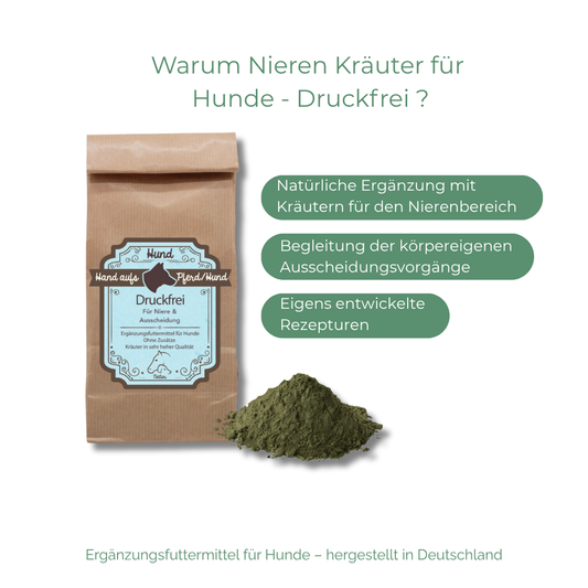 Natürliche Nierenkräuter für Hunde – Ergänzungsfuttermittel zur Unterstützung von Nieren und Harnwegen