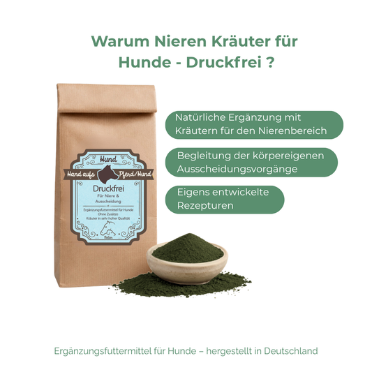 Natürliche Nierenkräuter für Hunde Nieren und Harnwege