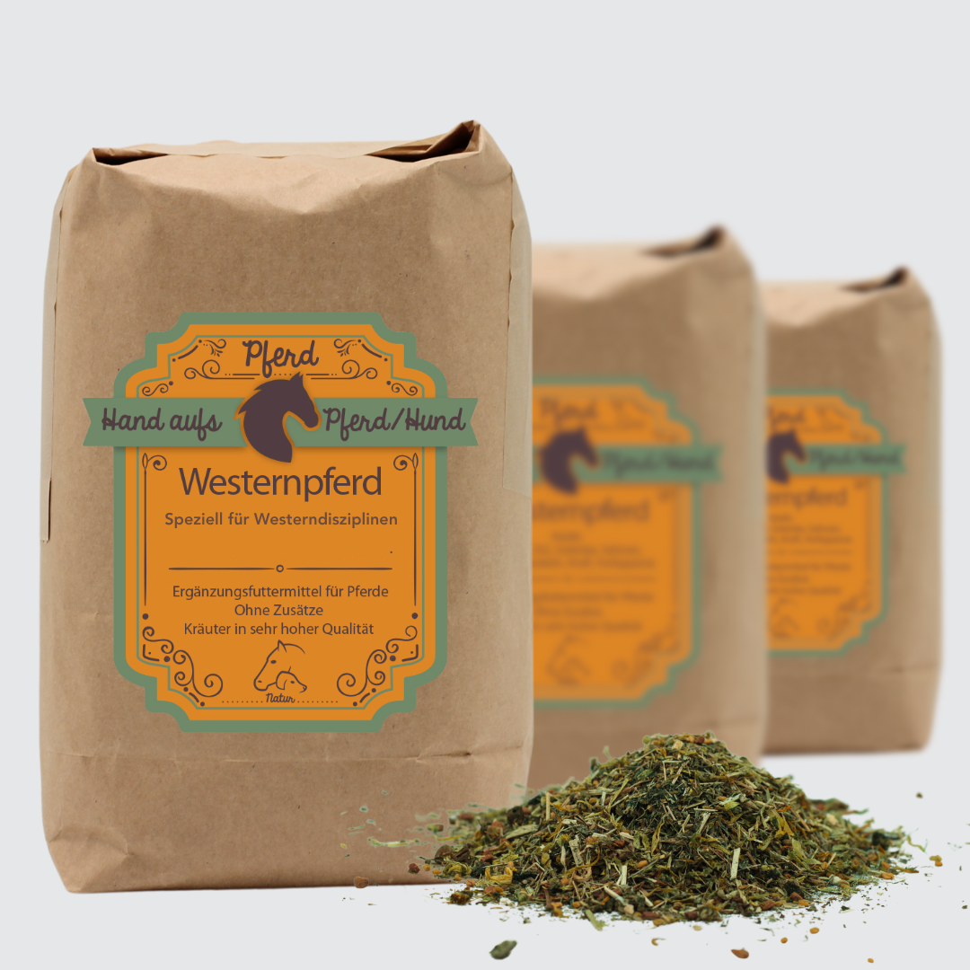 Westernpferd Training Futter