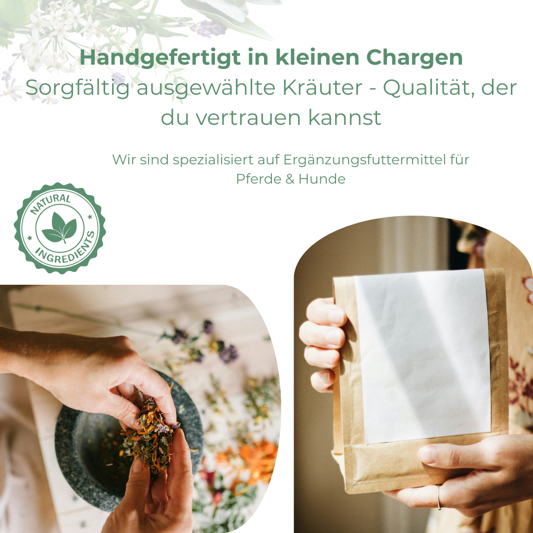 Western Kräuter für Pferde - Westernpferd Hand aufs Pferd/Hund Kräuter Manufaktur