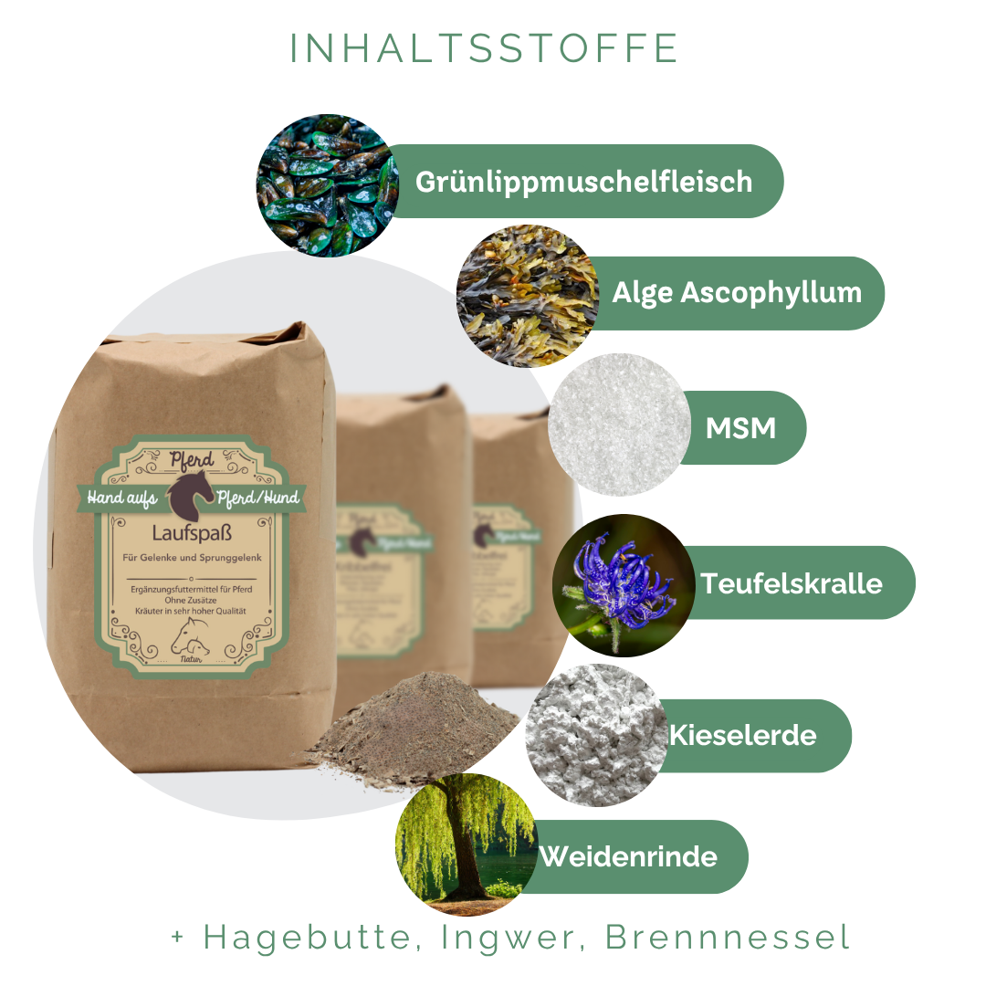 Zusatzfutter für Pferde Spat Sprunggelenk