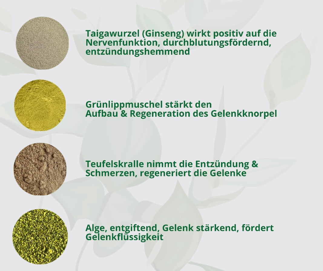 Arthrose-Kräuter Hund Behandlung und Vorbeugung?