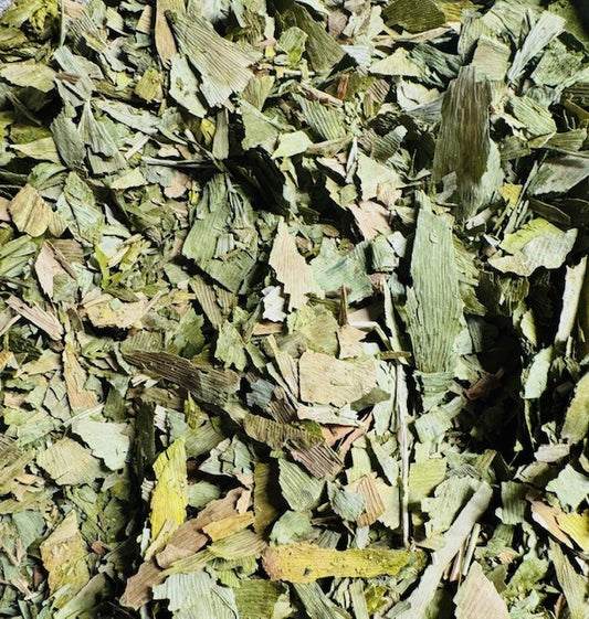Ginkgo für Hunde - Futter für die Durchblutung