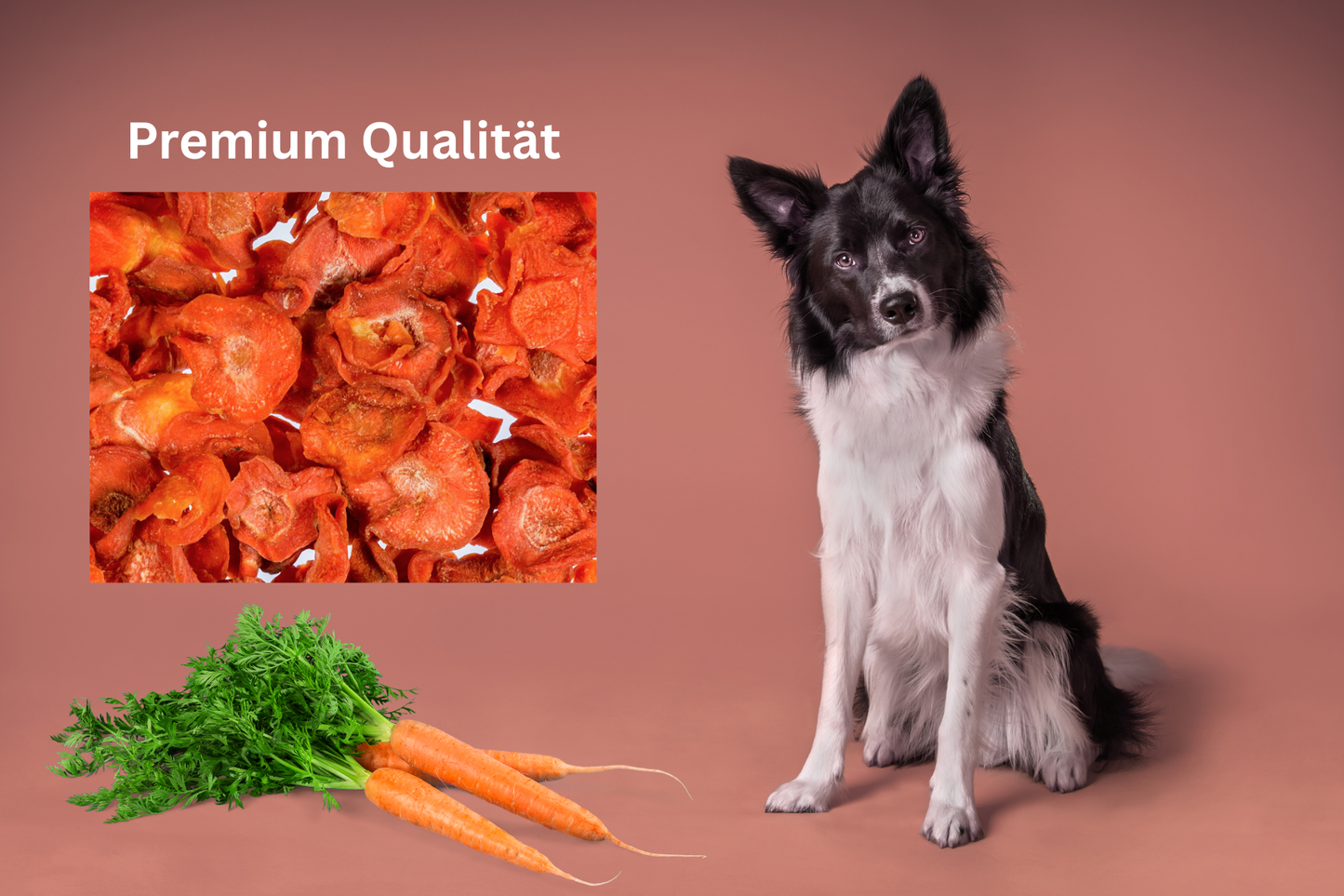 Karotten Scheiben für Hunde - getrocknet - Leckerlie Snack