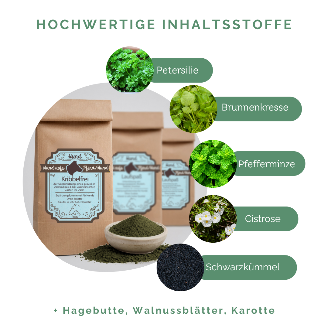 Begleitung der Darmflora bei äußeren Einflüssen