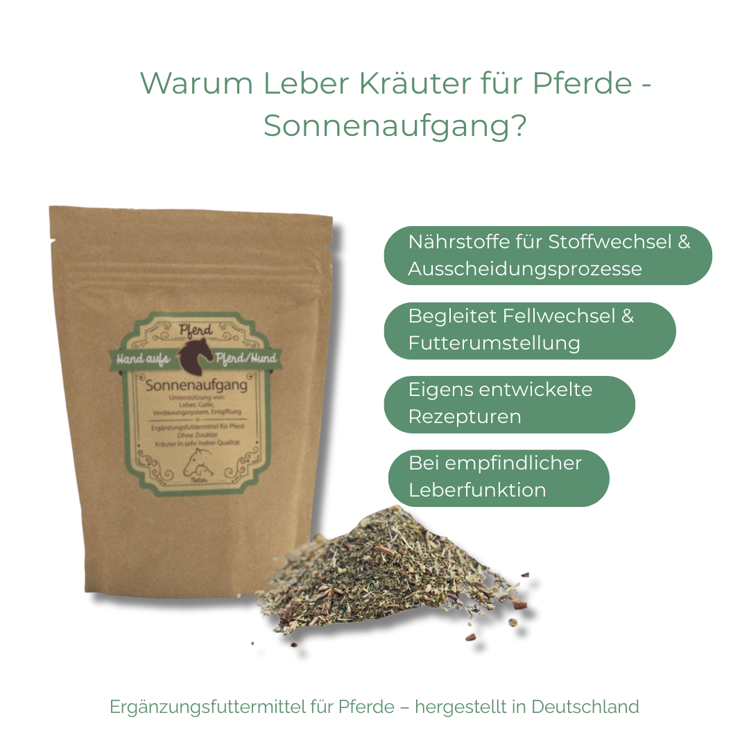 Begleitung natürlicher Körperfunktionen
Zwei Kräutermischungen – abgestimmt für Leber und Nieren