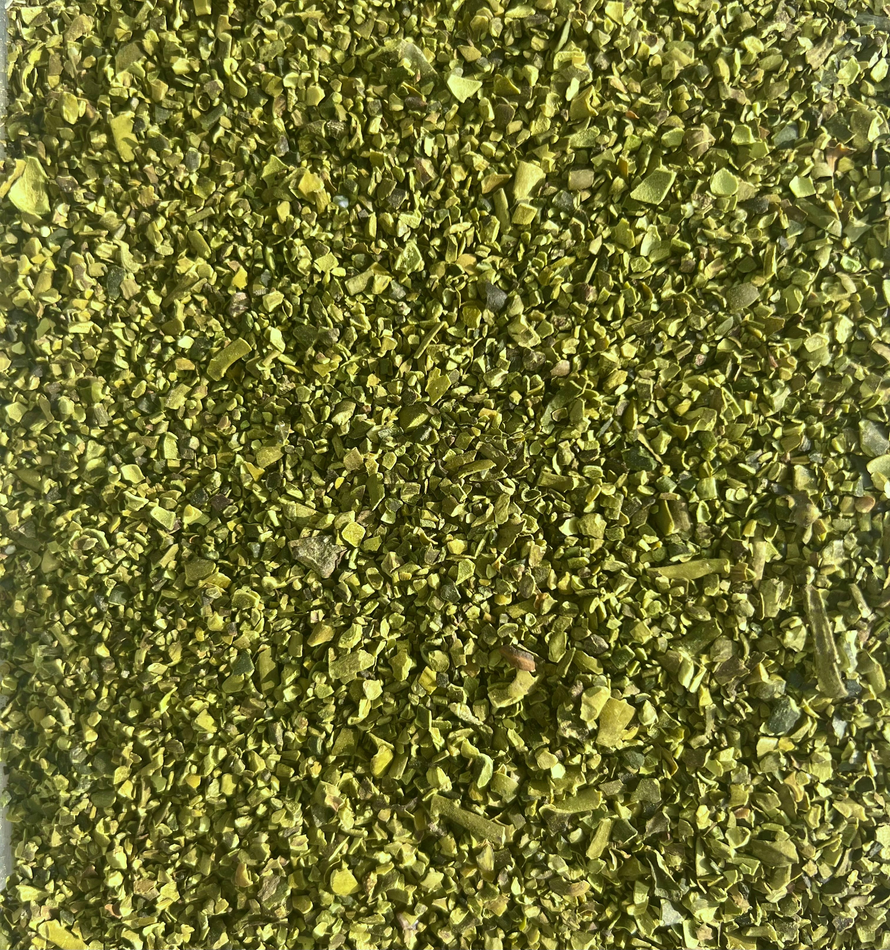 Alge Ascophyllum nosodum für Pferde & Hunde