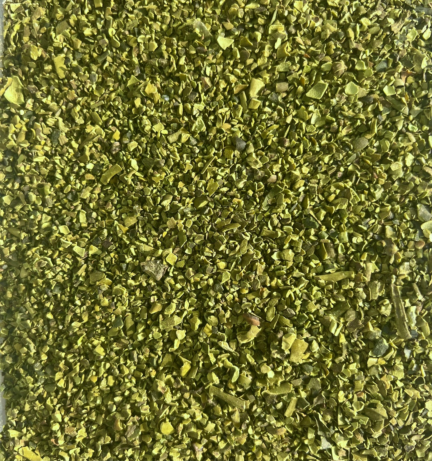 Alge Ascophyllum nosodum für Pferde & Hunde