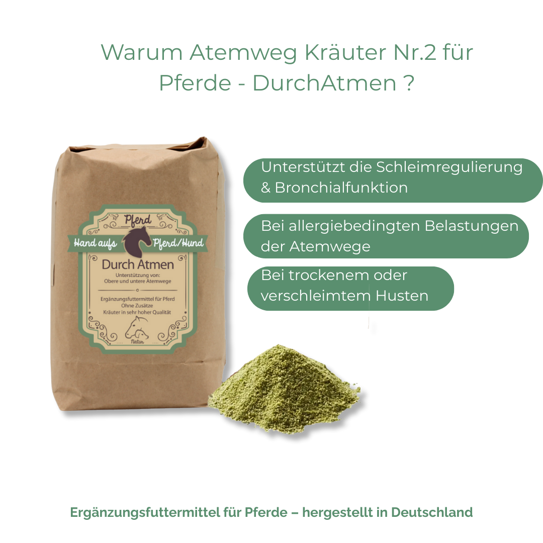 Schleimlösung bei Husten Pferd