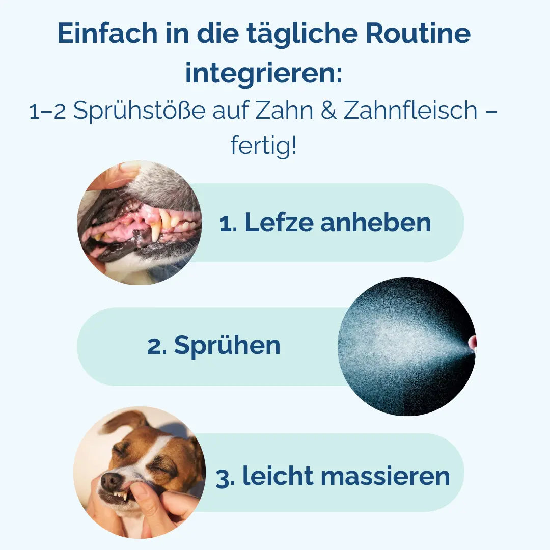 Unser Zahnpflege-Spray enthält ausschließlich natürliche Kräuterextrakte 