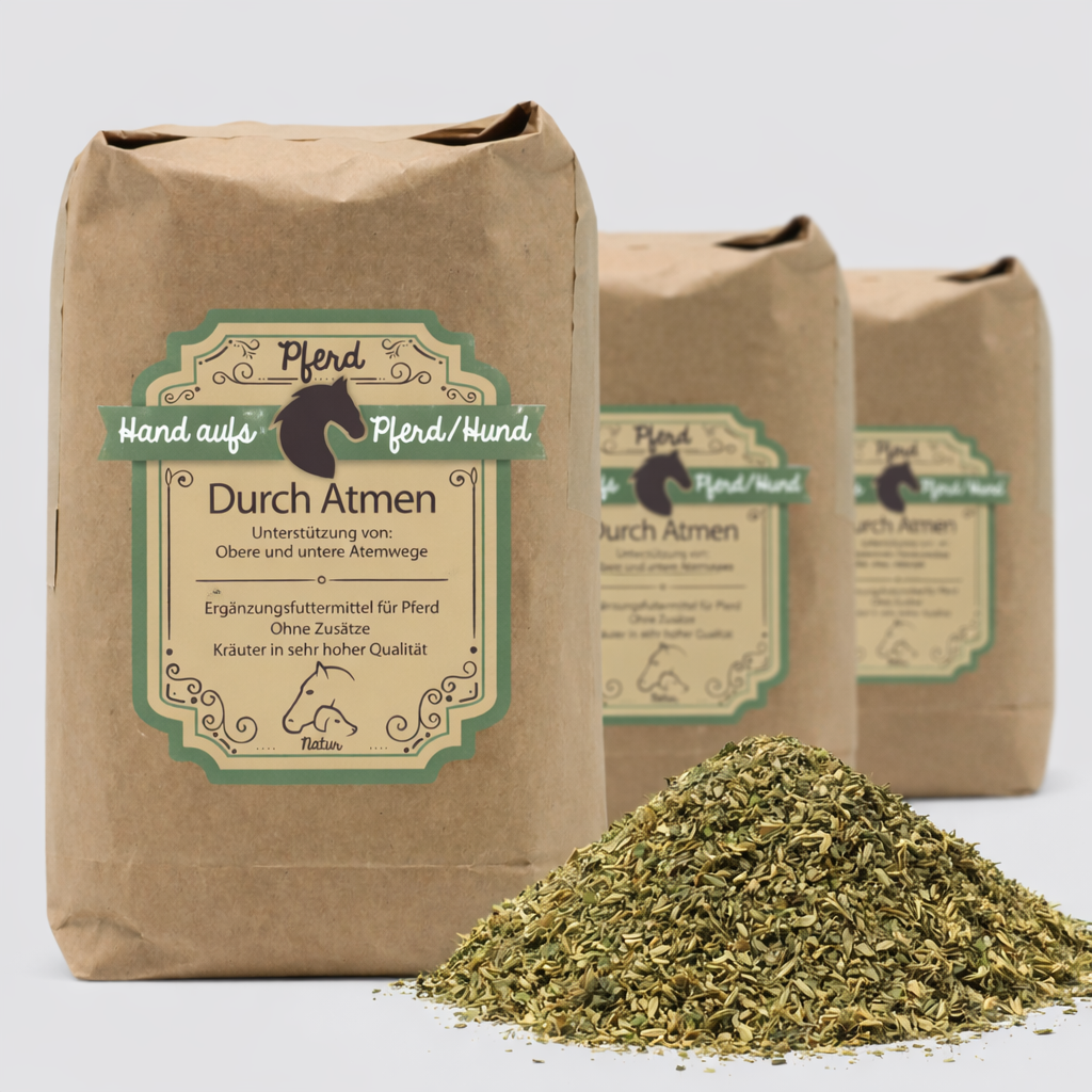 Husten Kräuter für Pferde - zur Unterstützung der Atemwege