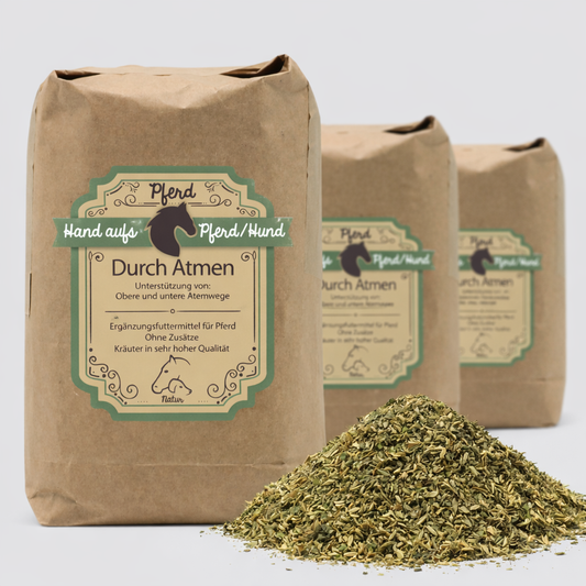 Husten Kräuter für Pferde - zur Unterstützung der Atemwege
