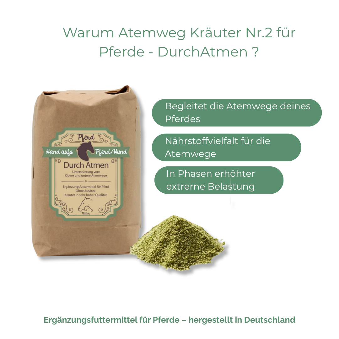 COPD und COB behandeln mit Hausmittel