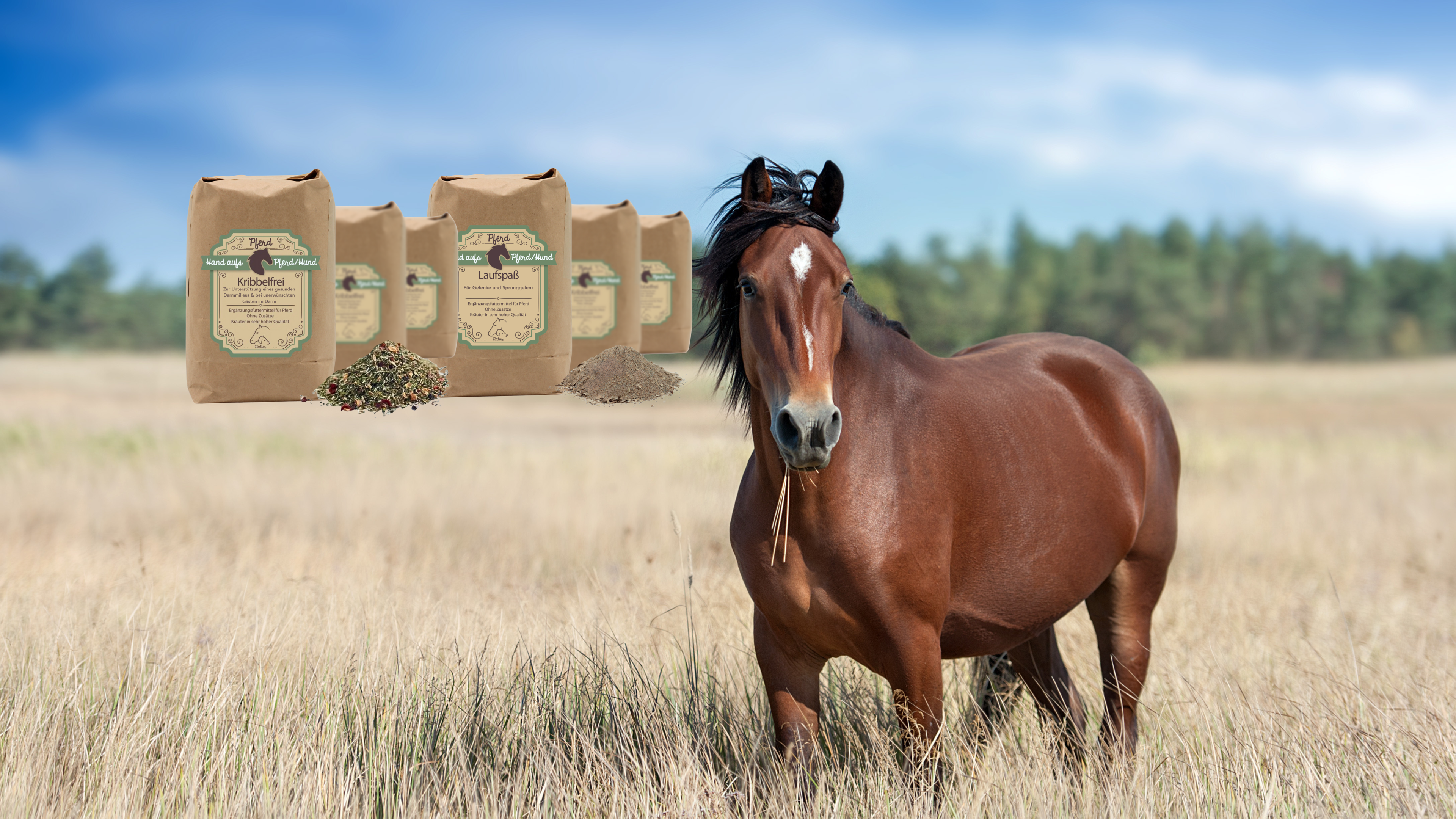 Kräuter für Pferde