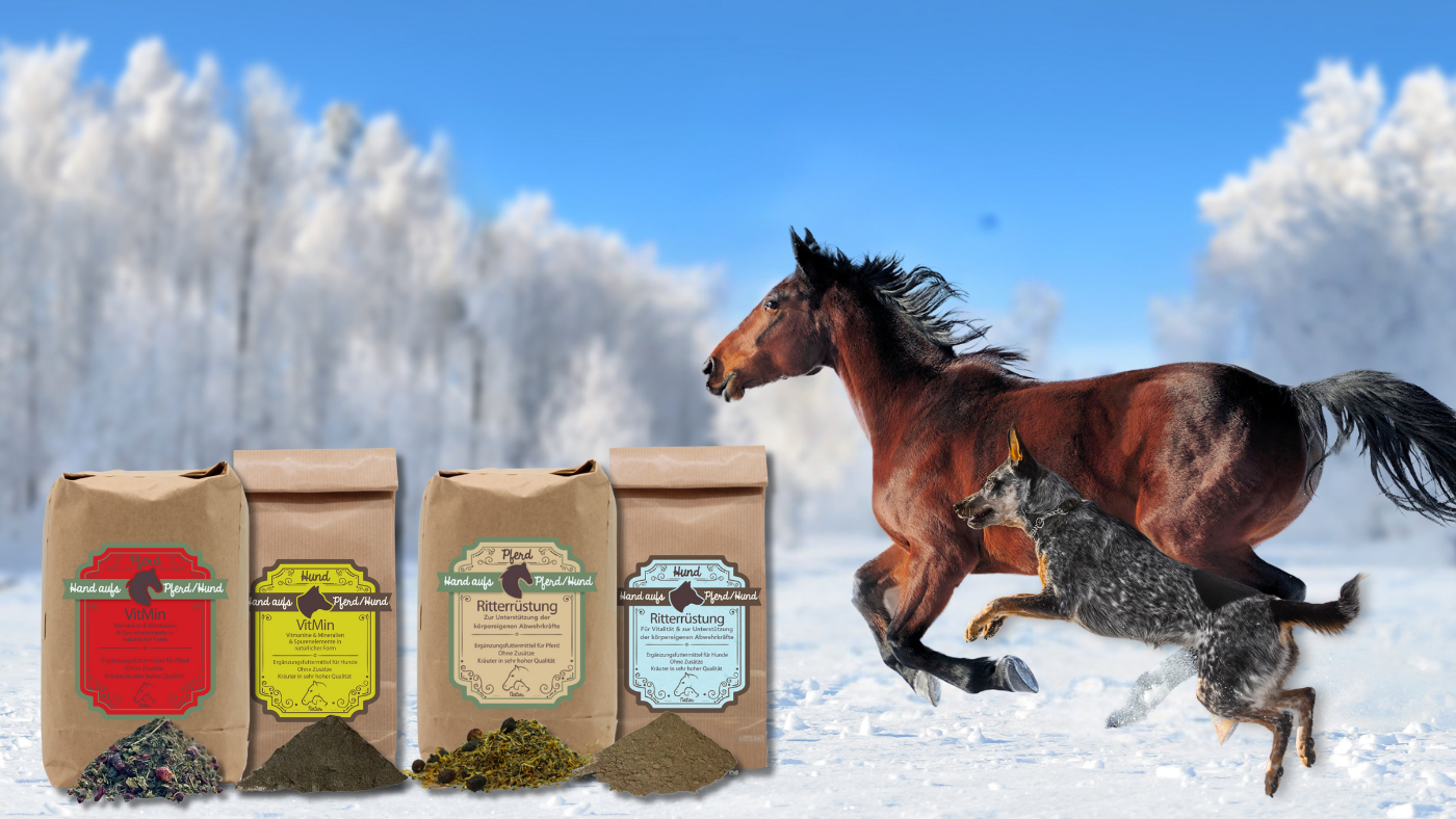 Kräuter für Pferde und Hunde manufaktur