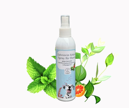 Zahnpflege Kräuter Spray