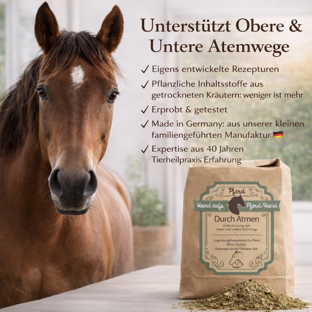 Schleimlösung bei Pferde Husten