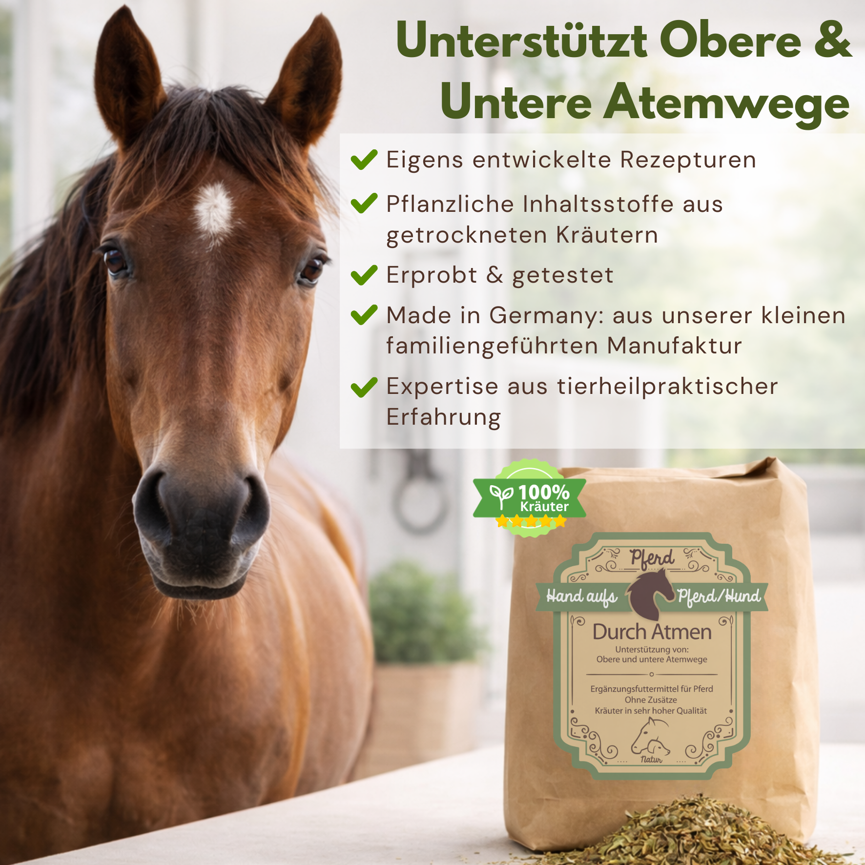 Pferd mit einer Packung Schleimlösung Husten Kräuter 