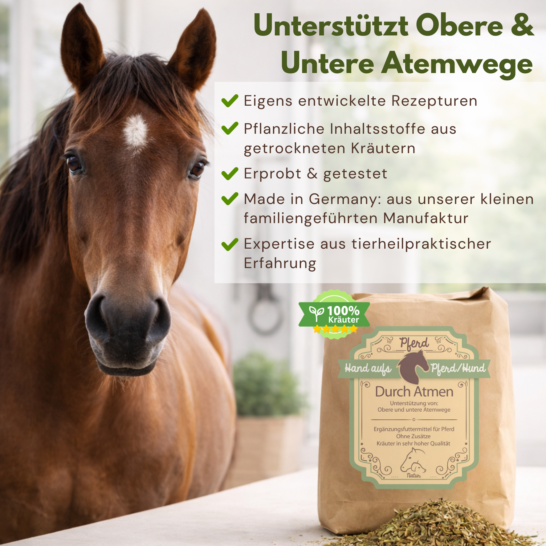 Pferd mit einer Packung Schleimlösung Husten Kräuter 