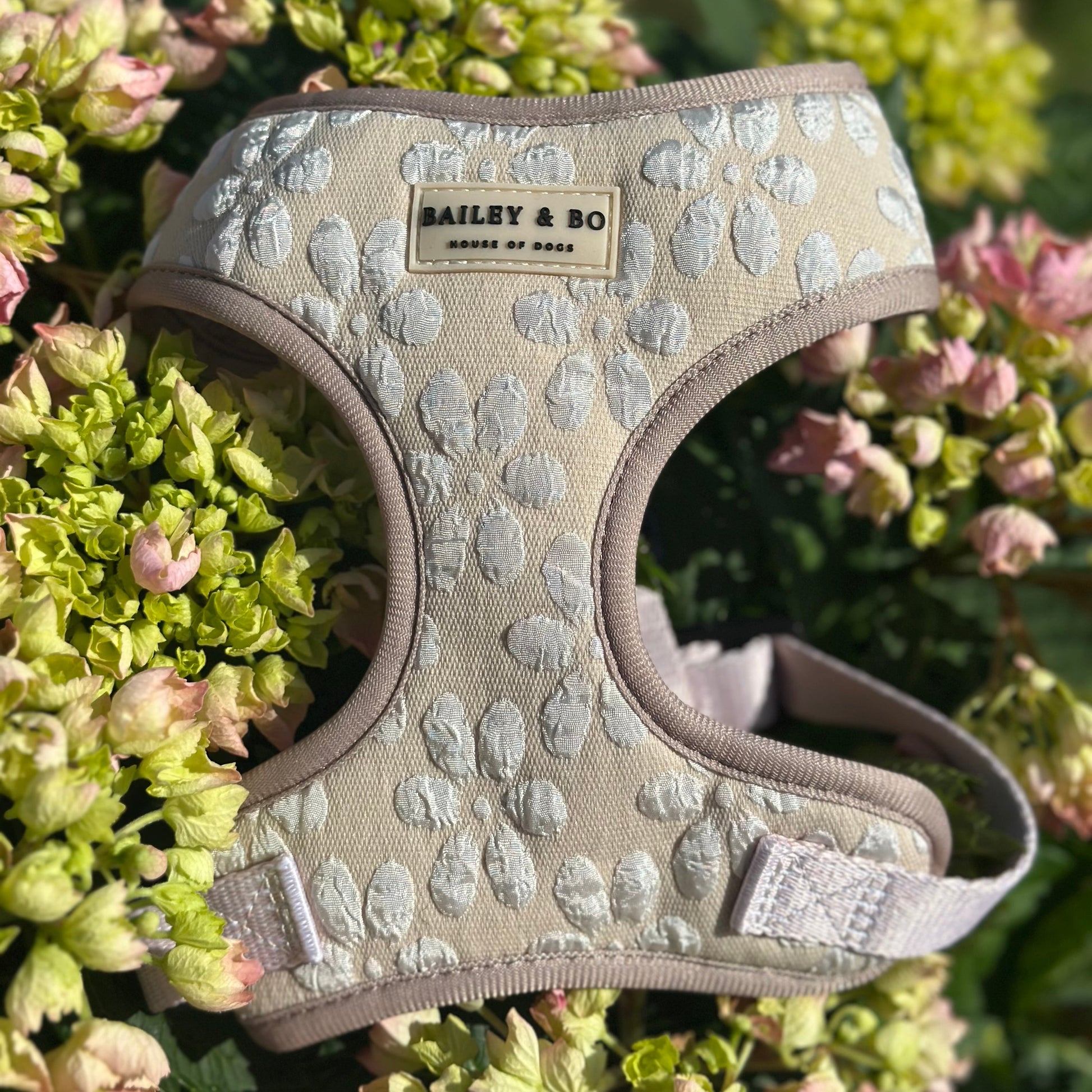 Leichtes Polyester Hundegeschirr in Beige-Braun, pflegeleicht und wetterbeständig – Bailey & Bo