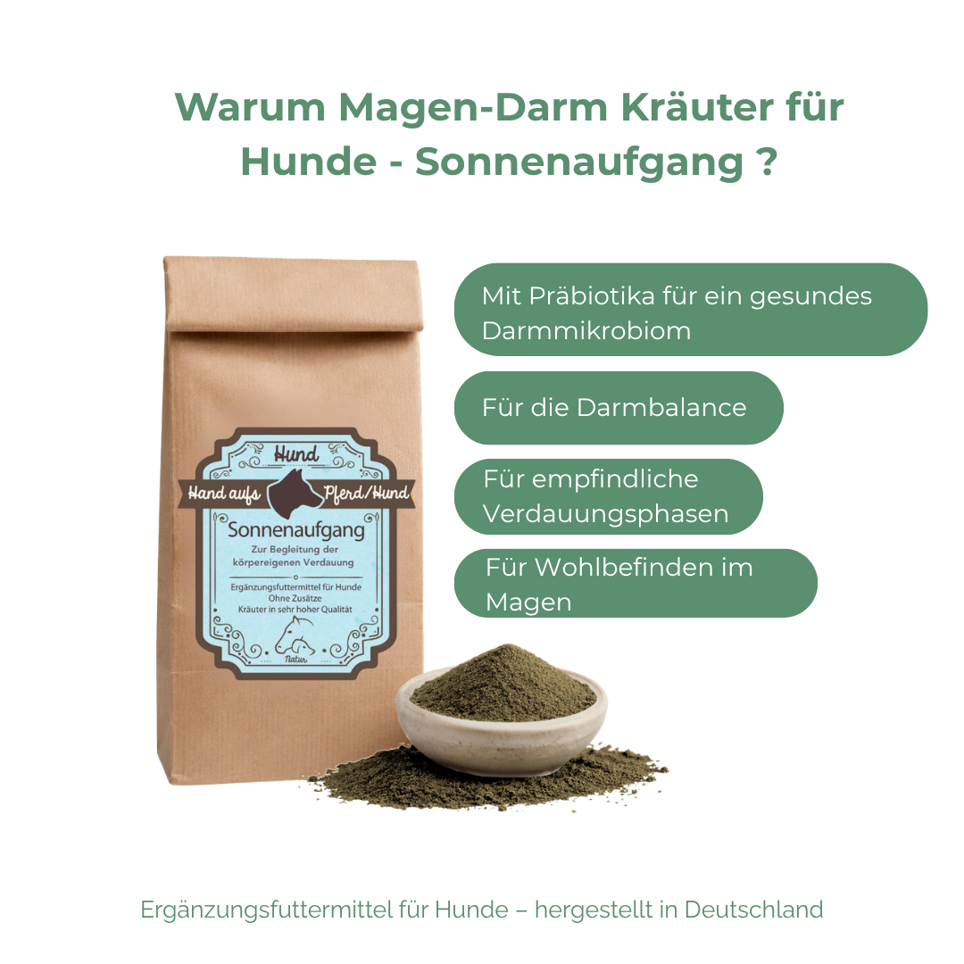 Magen-Darmkräuter  für Hunde - Sonnenaufgang