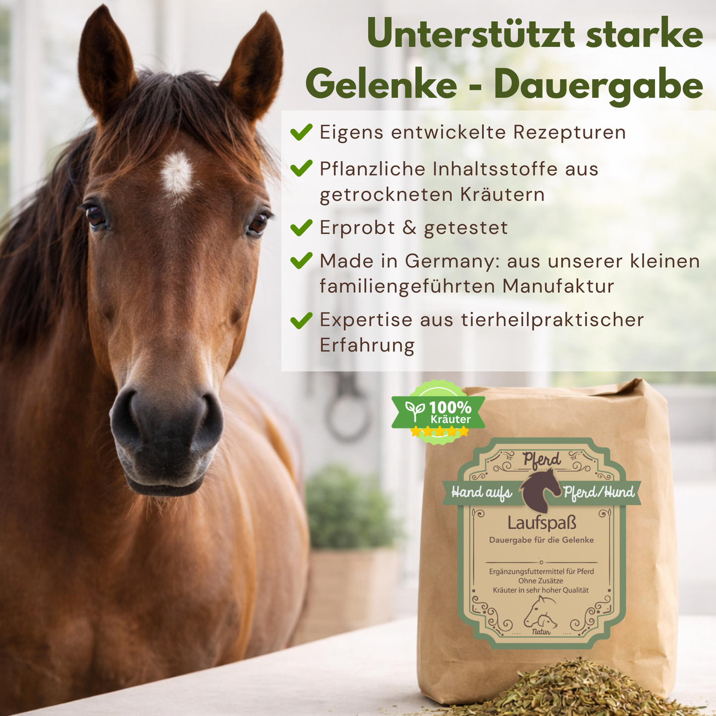 Dauerhaft unterstützung arthrose pferd