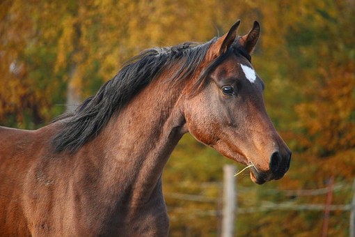 ursachen behandlung