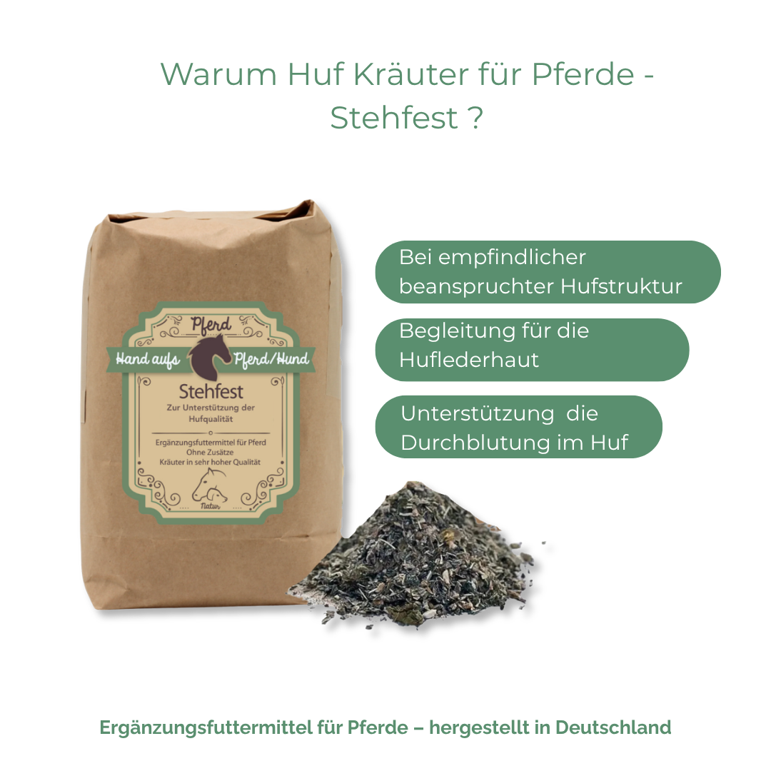 Hufkräuter bei Hufrehe