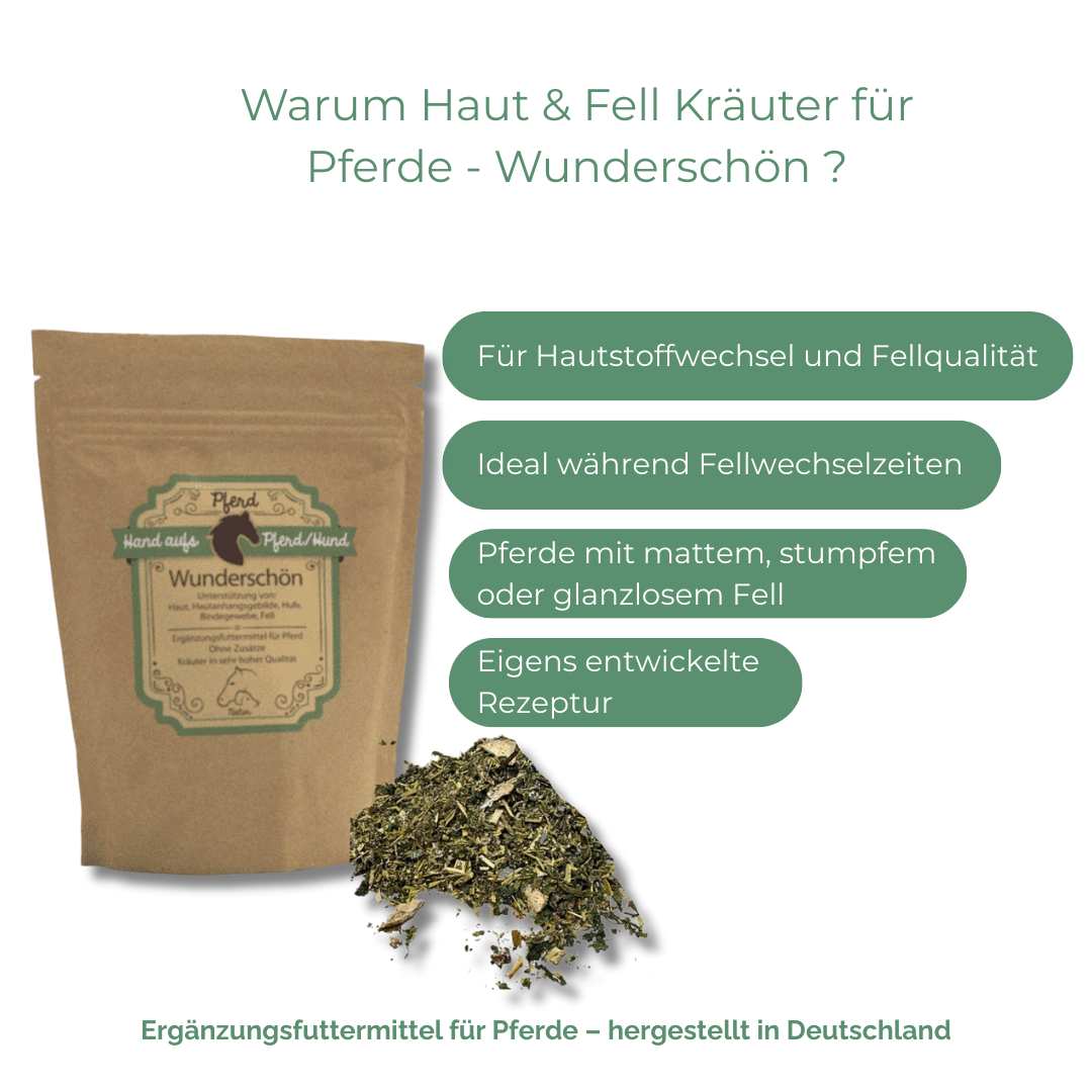 Natürliche Unterstützung für Hautbild und Fellwechsel