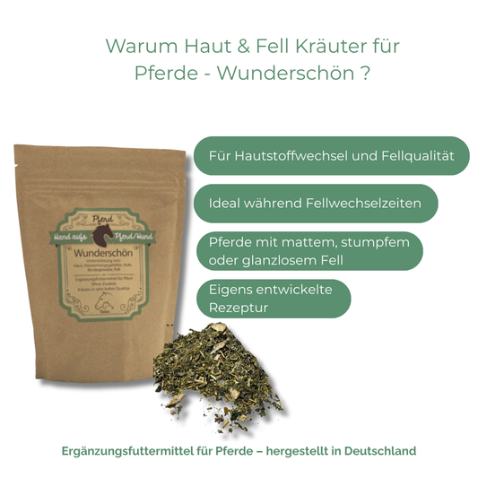 Natürliche Unterstützung für Hautbild und Fellwechsel