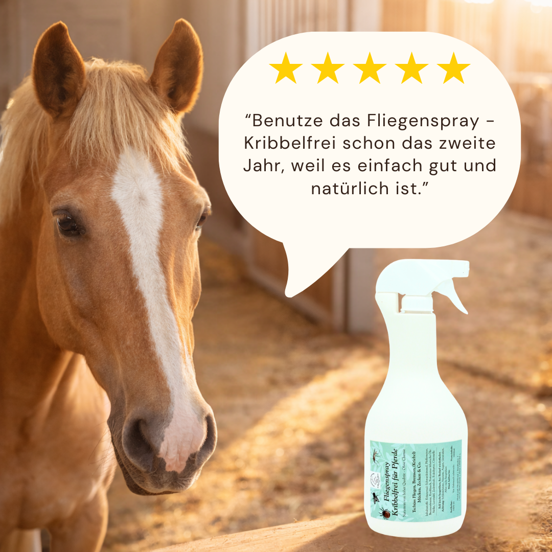 Fliegenspray