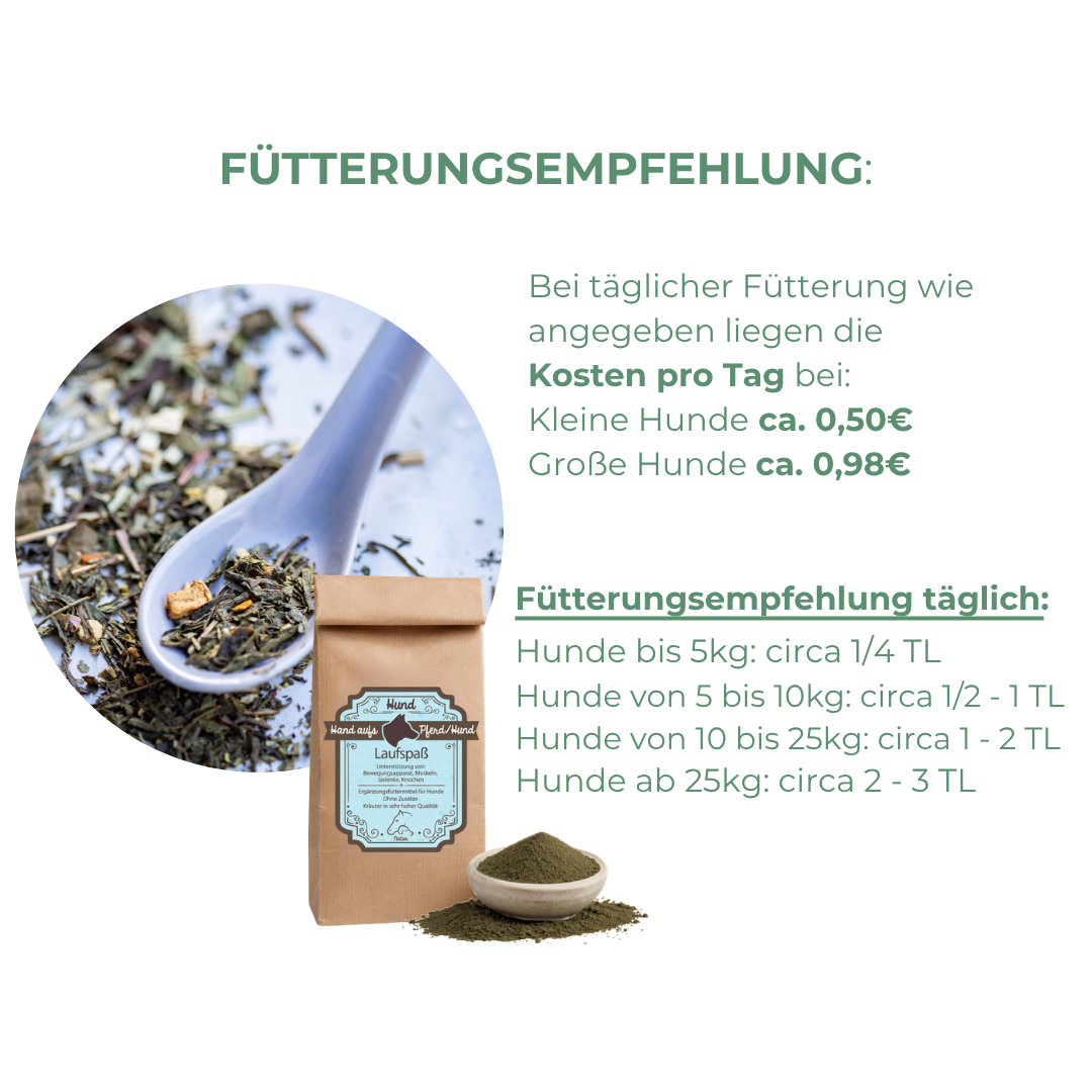 Arthrose Hund unterstützen