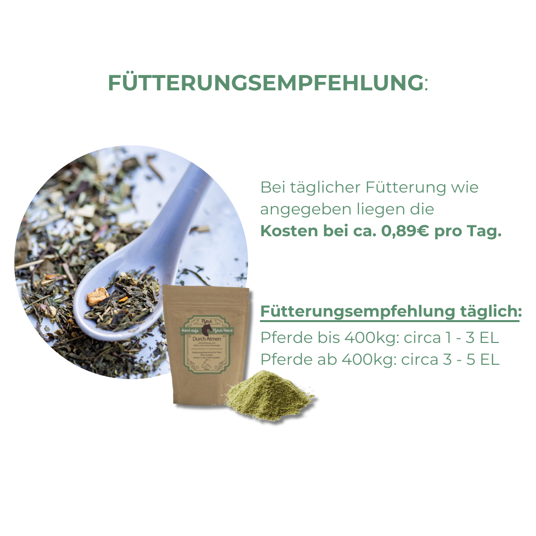 Pflanzenbasierte Nährstoffvielfalt für die Atemwege