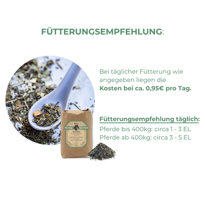 Hufrehe beim Pferd natürlich behandeln und vorbeugen