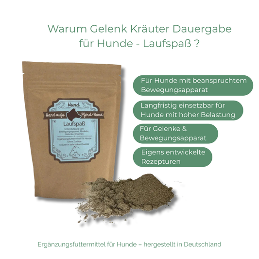 Arthrose beim Hund natürlich behandeln und vorbeugen