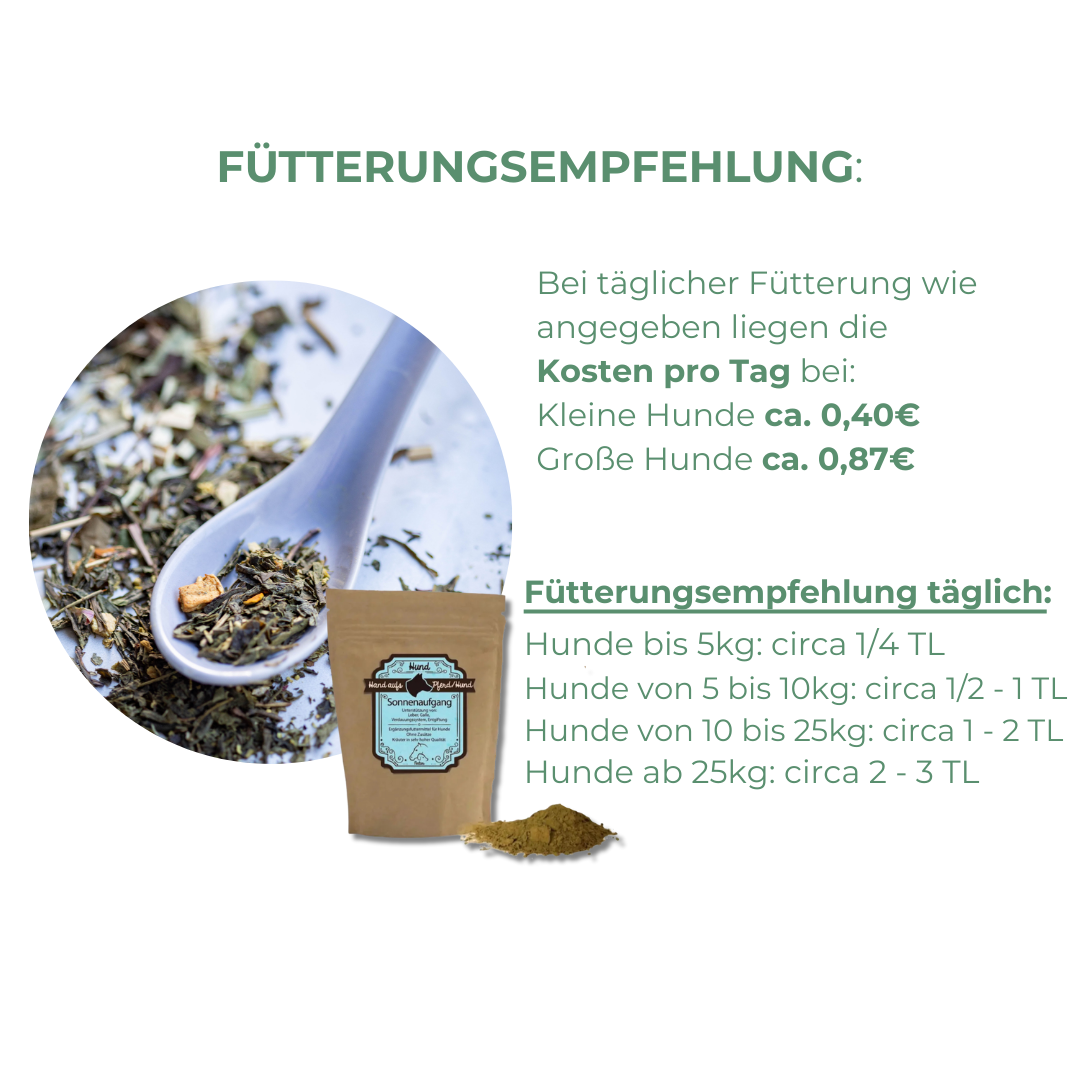 Magenprobleme beim Hund natürlich behandeln Fütterung