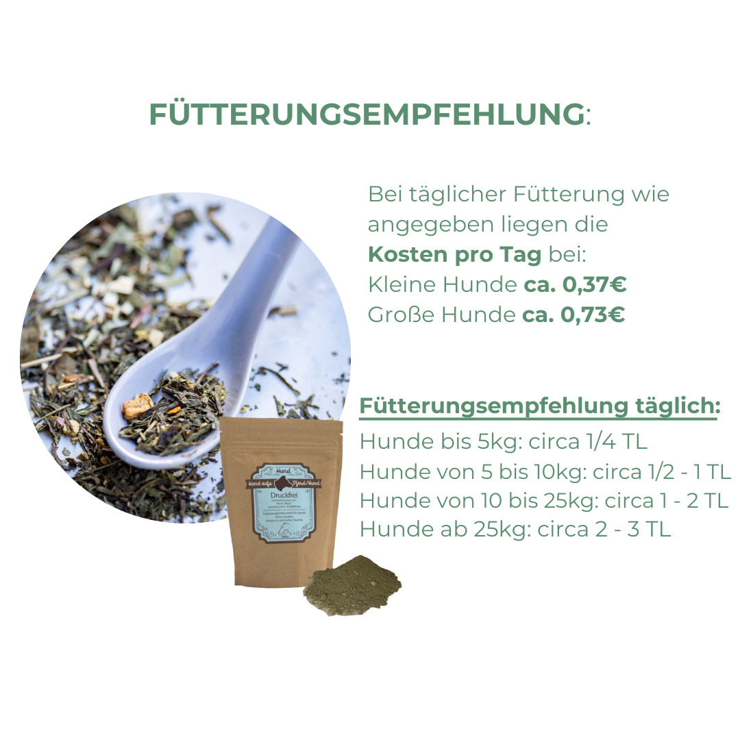 Blasenentzündung Hund natürlich unterstützen